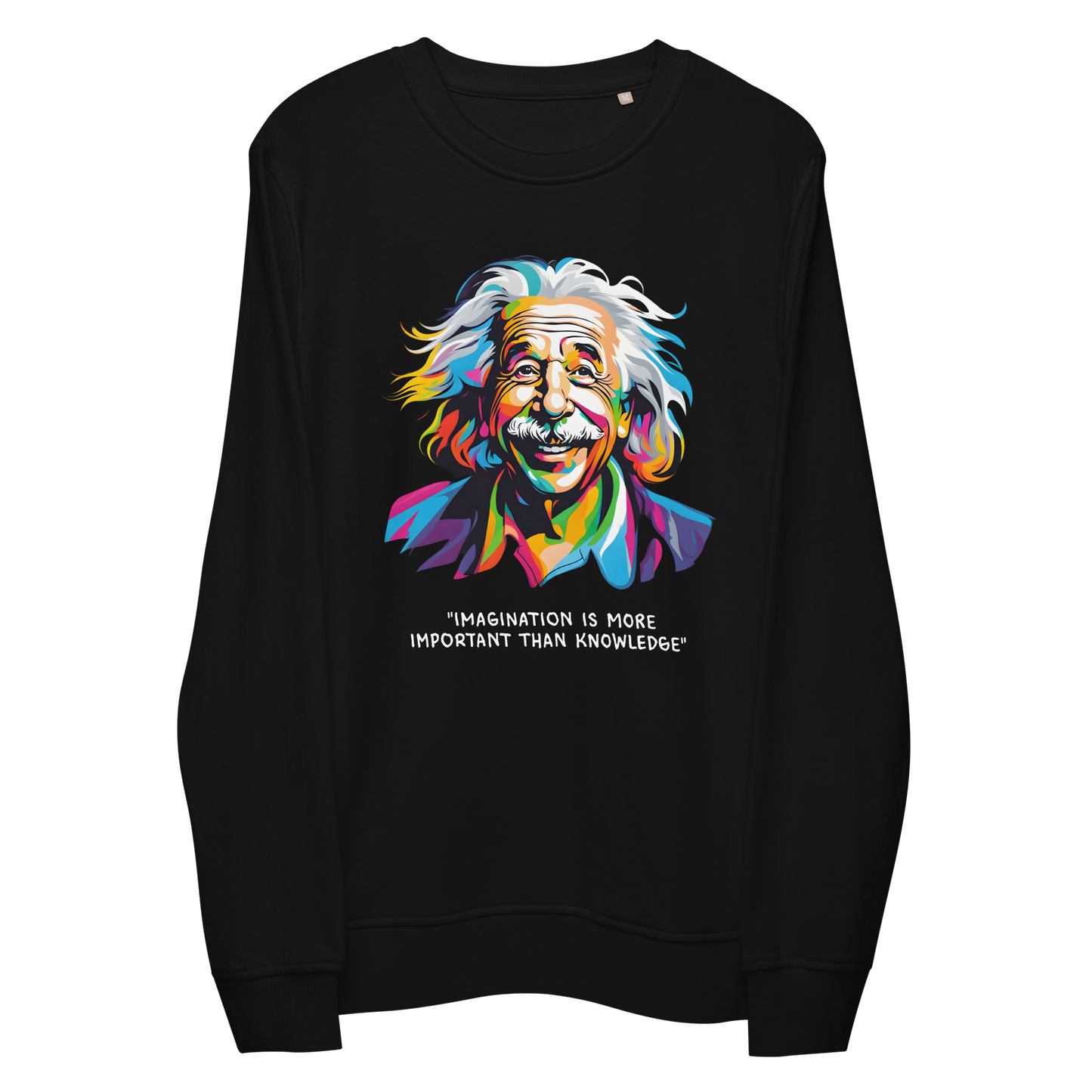 Imagination Is More Important Than Reality Einstein Unisex organic sweatshirt
