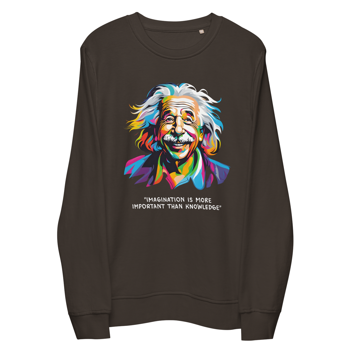 Imagination Is More Important Than Reality Einstein Unisex organic sweatshirt